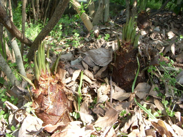 c0017311_93727100.jpg