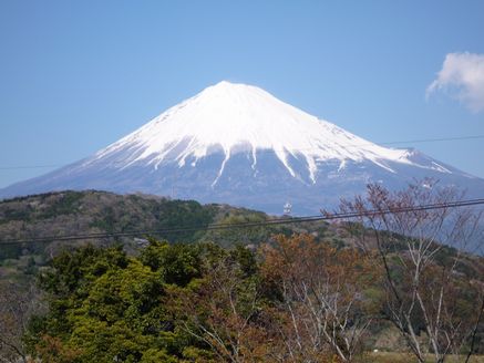 e0016412_2330224.jpg