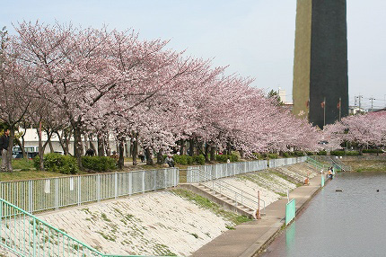 f0191413_935155.jpg