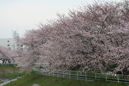f0191413_943713.jpg