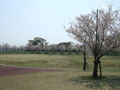 ～ひょうたん池公園～_b0151116_19462215.jpg