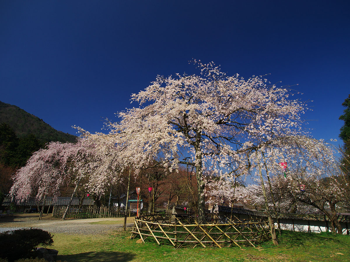 c0115616_1628348.jpg
