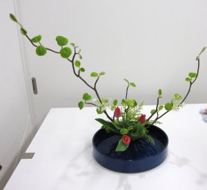 久々でしたねぇ~~_c0165824_23242012.jpg
