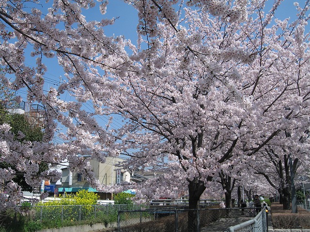 e0162524_15214750.jpg