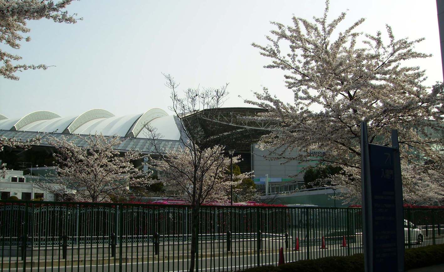 f0165224_23252898.jpg