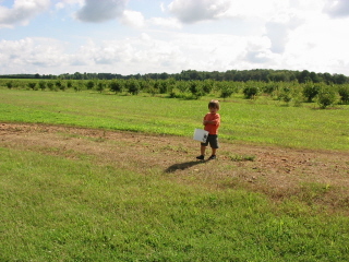 e0115325_1502051.jpg