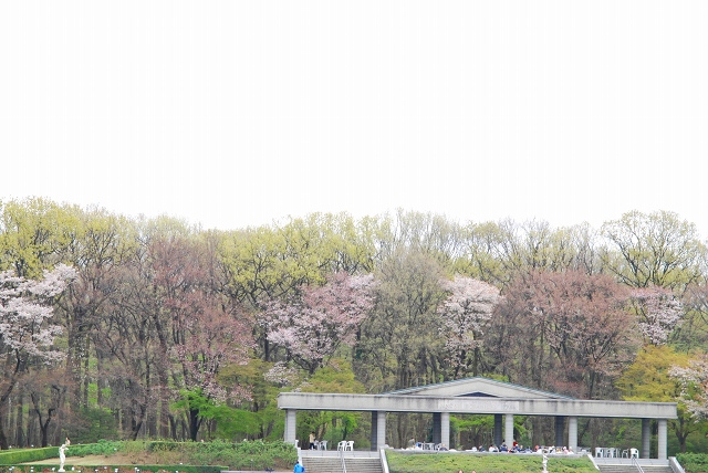 c0027027_1251949.jpg
