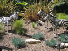 c0148627_1372324.jpg