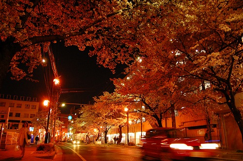 e0146031_21135161.jpg