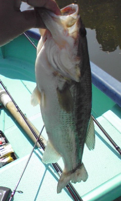c0001632_19505137.jpg