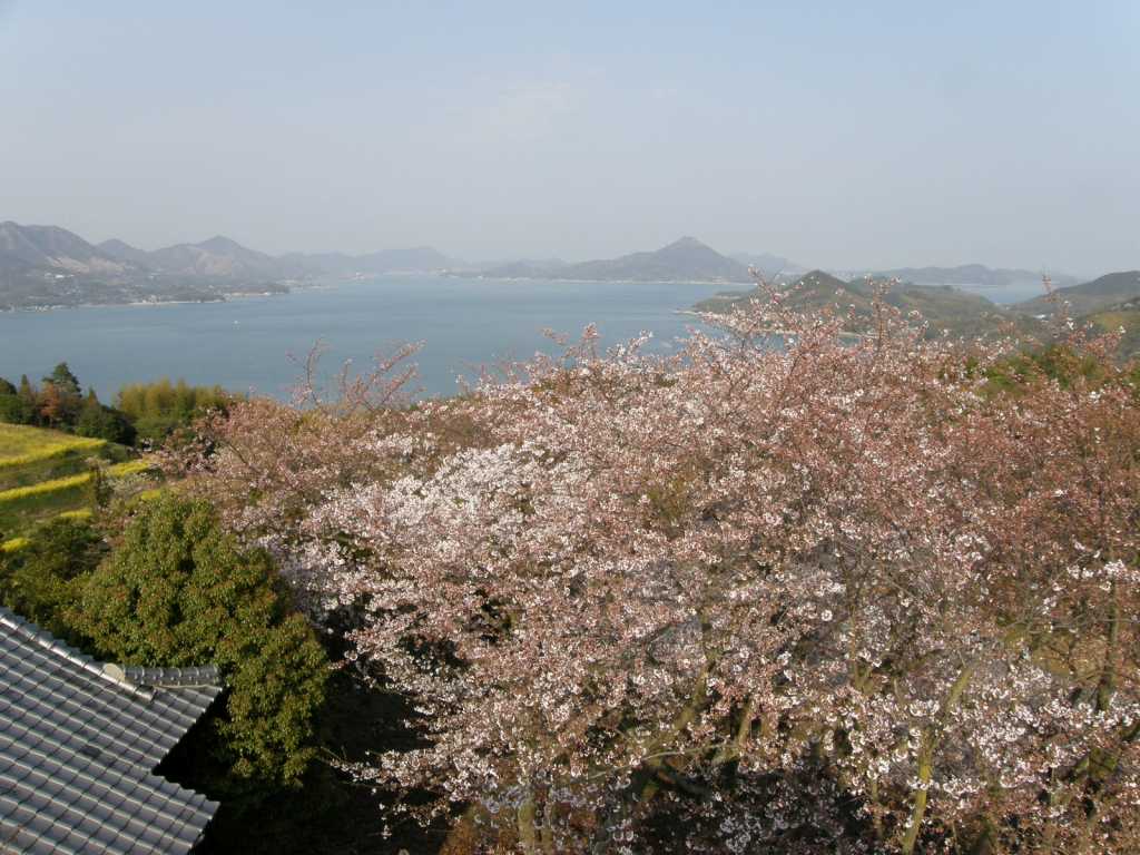 c0141933_124474.jpg