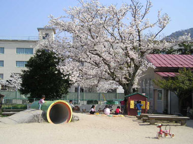 c0165033_13501759.jpg