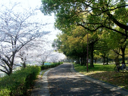 e0040041_2214548.jpg