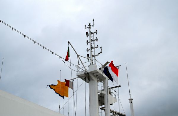 e0098241_19565792.jpg
