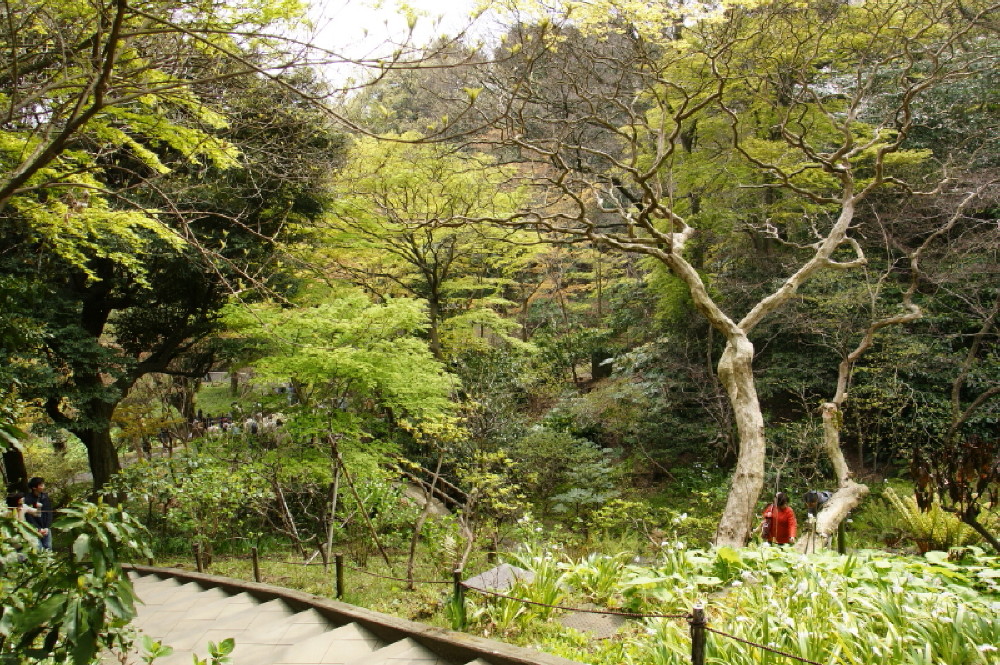 古建築を観る(その2)～横浜「三渓園」(4)～_e0132243_21243181.jpg