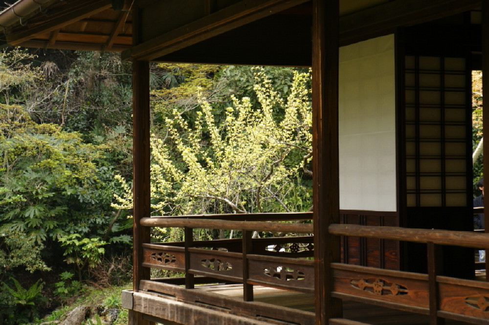 古建築を観る(その2)～横浜「三渓園」(4)～_e0132243_21245863.jpg