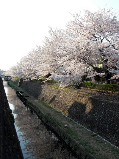 f0094843_20232250.jpg