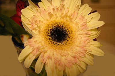 d0026745_1726446.jpg