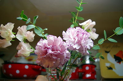 d0026745_17271143.jpg