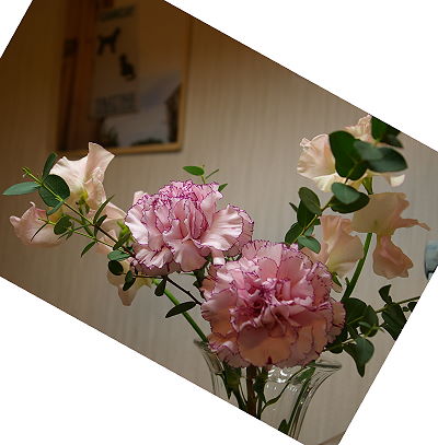 d0026745_17274027.jpg