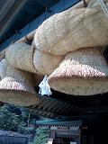 b0067547_10512541.jpg