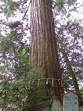 b0067547_1051568.jpg