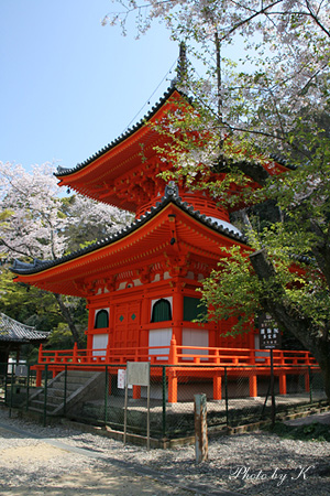 c0127748_0105552.jpg