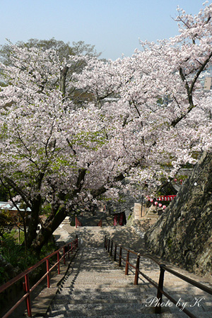 c0127748_0114892.jpg