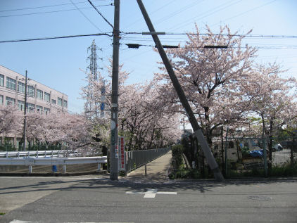 c0073649_1531107.jpg