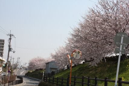 c0073649_1532814.jpg