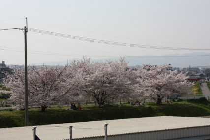 c0073649_1534153.jpg