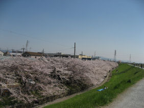 c0073649_15394247.jpg