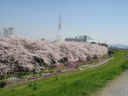 c0073649_15403869.jpg