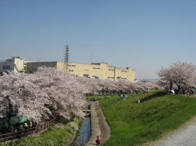 c0073649_1540890.jpg