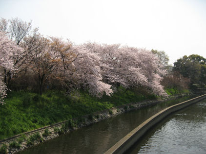 c0073649_1541341.jpg