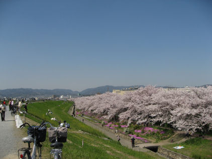 c0073649_15451086.jpg