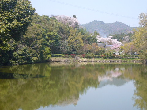 b0165950_22101816.jpg