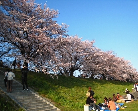 c0043751_103463.jpg