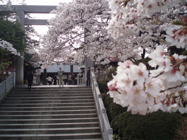 b0015356_13262778.jpg