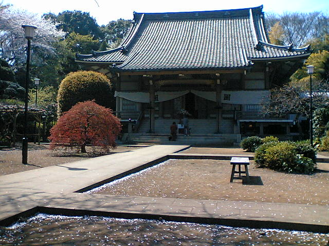 豊顕寺_d0111059_1916402.jpg