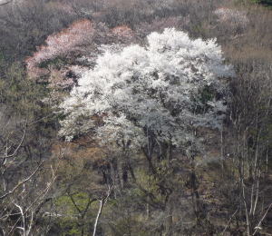 b0129962_17263425.jpg