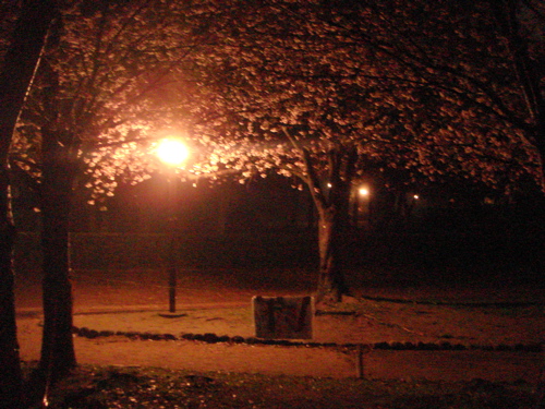 e0125762_0382051.jpg