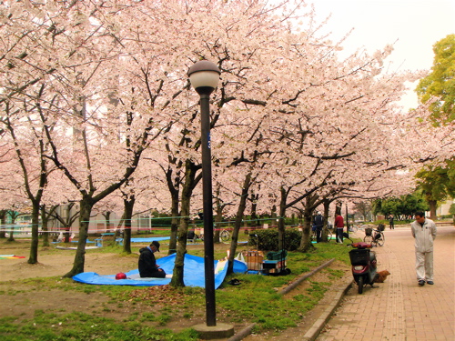e0125762_0441142.jpg