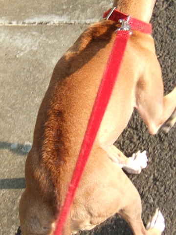 f0158862_21254127.jpg