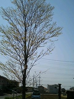 月の ハート_a0044064_1353407.jpg