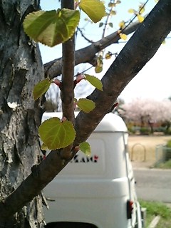 月の ハート_a0044064_13542320.jpg