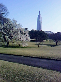 d0069964_8532944.jpg