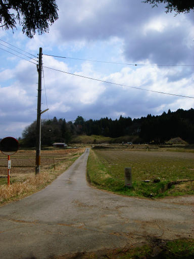 c0191967_2065451.jpg