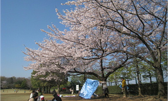 f0054868_22484883.jpg