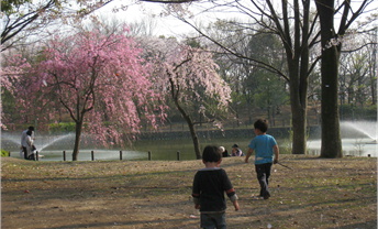 f0054868_22553921.jpg